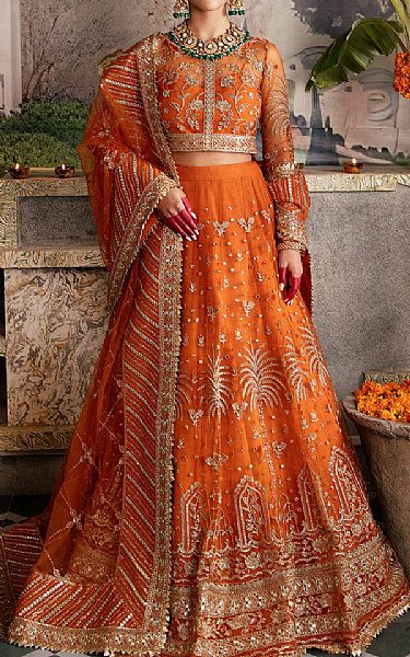 Afrozeh Rust Net Suit | Pakistani Embroidered Chiffon Dresses- Image 1