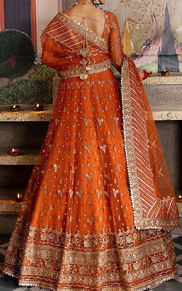Afrozeh Rust Net Suit | Pakistani Embroidered Chiffon Dresses- Image 2