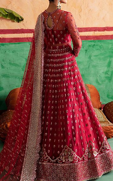Afrozeh Hot Pink Net Suit | Pakistani Embroidered Chiffon Dresses USA- Image 2