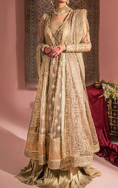 Aik Sand Gold Net Suit | Pakistani Embroidered Chiffon Dresses- Image 1