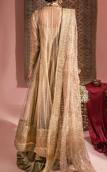 Aik Sand Gold Net Suit | Pakistani Embroidered Chiffon Dresses- Image 2