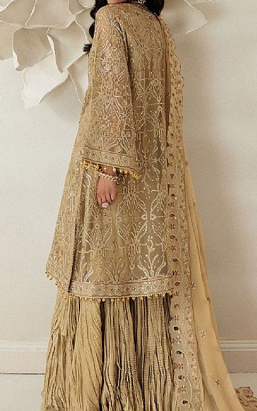 Aik Golden Net Suit | Pakistani Embroidered Chiffon Dresses USA- Image 2