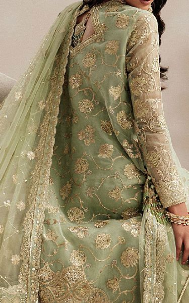 Aik Light Green Organza Suit | Pakistani Embroidered Chiffon Dresses USA- Image 2