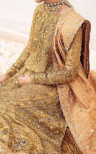 Aik Golden Zari Suit | Pakistani Embroidered Chiffon Dresses USA- Image 3