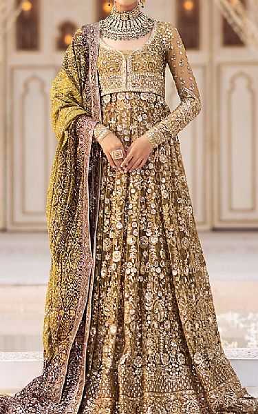 Aik Olive Green Net Suit | Pakistani Embroidered Chiffon Dresses USA- Image 1