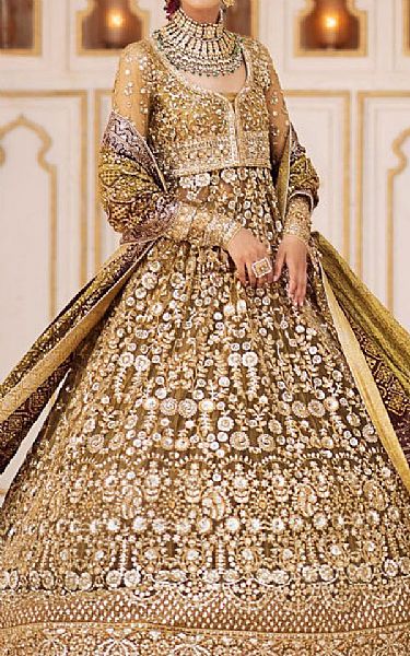 Aik Olive Green Net Suit | Pakistani Embroidered Chiffon Dresses USA- Image 3