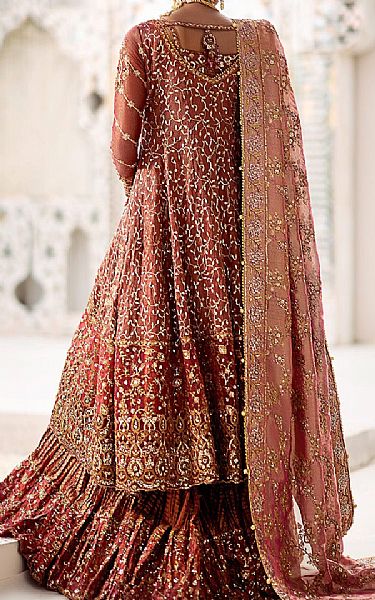 Aik Sanguine Brown Net Suit | Pakistani Embroidered Chiffon Dresses USA- Image 2