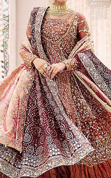 Aik Sanguine Brown Net Suit | Pakistani Embroidered Chiffon Dresses USA- Image 3