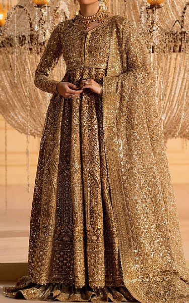 Aik Golden Net Suit | Pakistani Embroidered Chiffon Dresses USA- Image 1