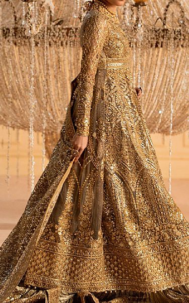 Aik Golden Net Suit | Pakistani Embroidered Chiffon Dresses USA- Image 2