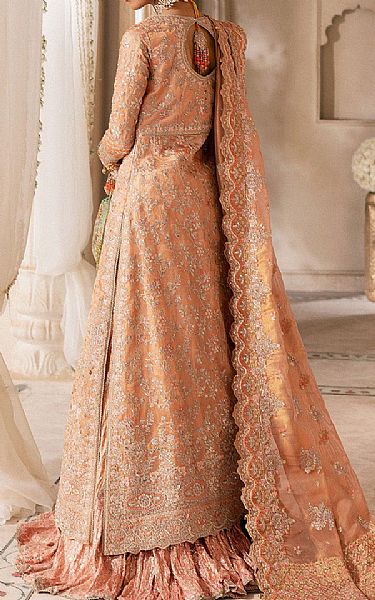 Aik Peach Tissue Suit | Pakistani Embroidered Chiffon Dresses USA- Image 2
