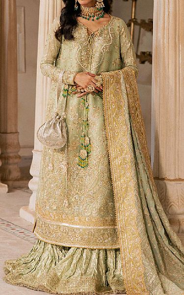 Aik Light Green Zari Net Suit | Pakistani Embroidered Chiffon Dresses USA- Image 1