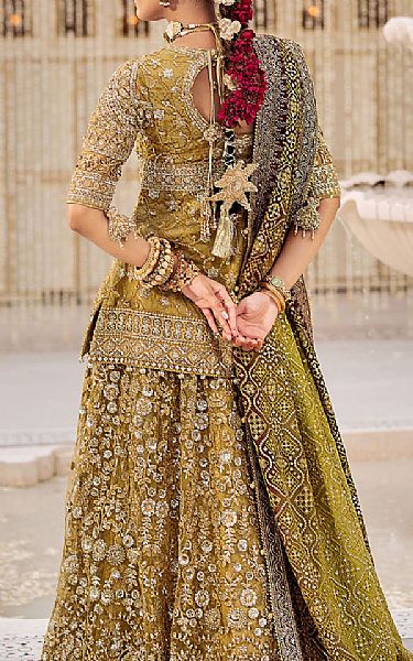 Aik Olive Net Suit | Pakistani Embroidered Chiffon Dresses USA- Image 2