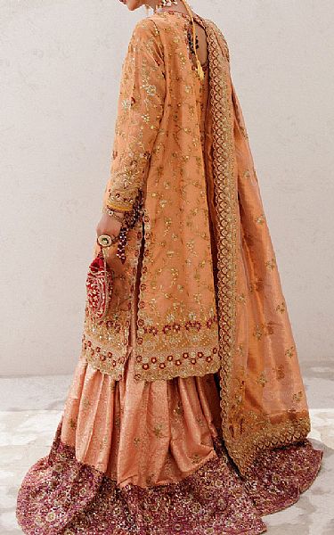 Aik Peach Tissue Suit | Pakistani Embroidered Chiffon Dresses USA- Image 2
