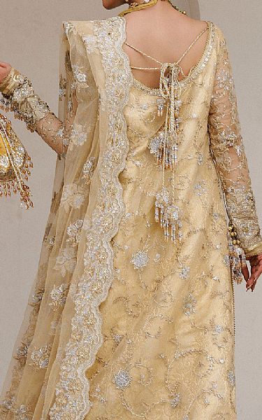 Aik Dull Gold Net Suit | Pakistani Embroidered Chiffon Dresses USA- Image 2