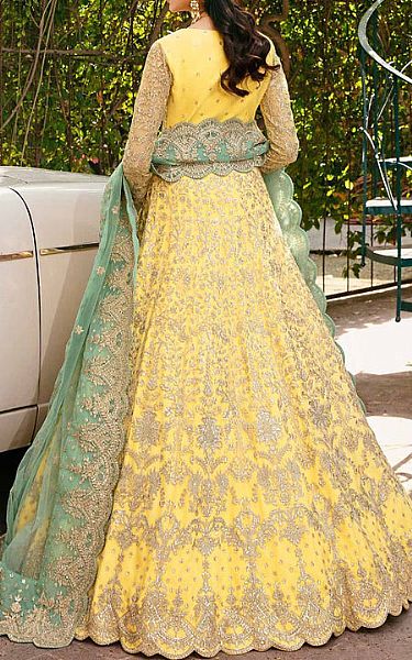 Akbar Aslam Pale Gold Net Suit | Pakistani Embroidered Chiffon Dresses- Image 2