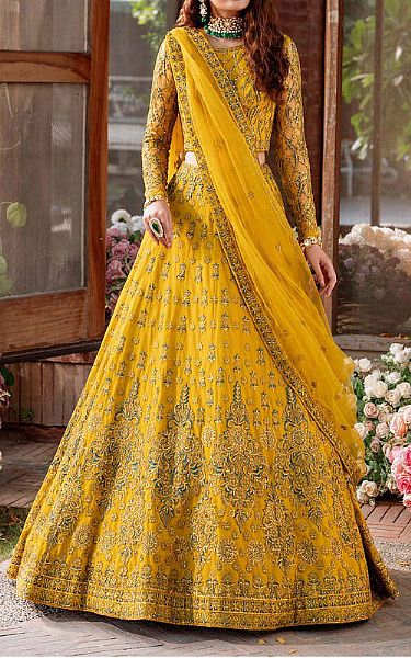 Akbar Aslam Mustard Net Suit | Pakistani Embroidered Chiffon Dresses- Image 1