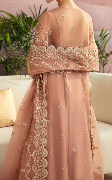 Akbar Aslam Pink Organza Suit | Pakistani Embroidered Chiffon Dresses USA- Image 2