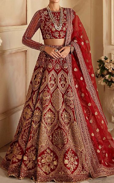 Akbar Aslam Scarlet Organza Suit | Pakistani Embroidered Chiffon Dresses USA- Image 1
