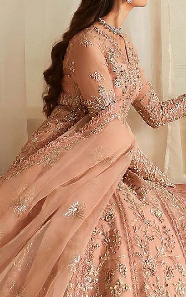 Akbar Aslam Mandys Pink Organza Suit | Pakistani Embroidered Chiffon Dresses USA- Image 3