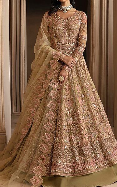 Akbar Aslam Pistachio/Pink Net Suit | Pakistani Embroidered Chiffon Dresses USA- Image 1