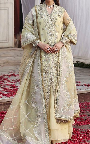 Akbar Aslam Green Mist Organza Suit | Pakistani Embroidered Chiffon Dresses USA- Image 1