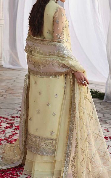 Akbar Aslam Green Mist Organza Suit | Pakistani Embroidered Chiffon Dresses USA- Image 2