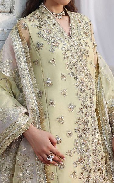 Akbar Aslam Green Mist Organza Suit | Pakistani Embroidered Chiffon Dresses USA- Image 3