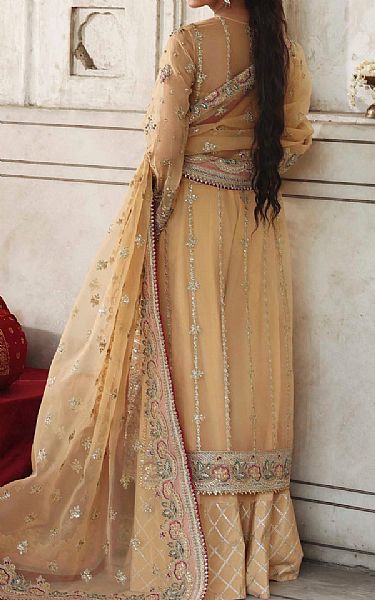 Akbar Aslam Fawn Organza Suit | Pakistani Embroidered Chiffon Dresses USA- Image 2