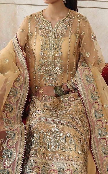 Akbar Aslam Fawn Organza Suit | Pakistani Embroidered Chiffon Dresses USA- Image 3