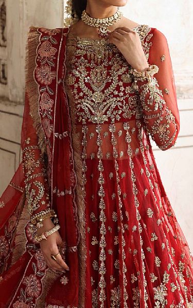 Akbar Aslam Cornell Red Net Suit | Pakistani Embroidered Chiffon Dresses USA- Image 3