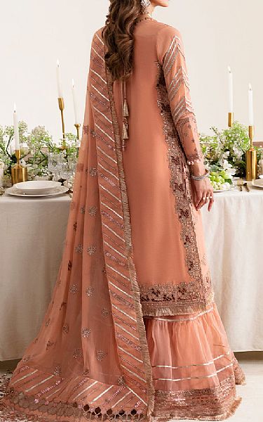 Alizeh Peach Net Suit | Pakistani Embroidered Chiffon Dresses USA- Image 2
