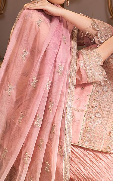 Alizeh Peach/Pink Chiffon Suit | Pakistani Embroidered Chiffon Dresses USA- Image 3