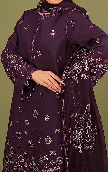 Alizeh Plum Purple Raw Silk Suit | Pakistani Embroidered Chiffon Dresses USA- Image 3