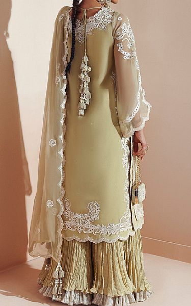 Alizeh Winter Hazel Chiffon Suit | Pakistani Embroidered Chiffon Dresses USA- Image 2