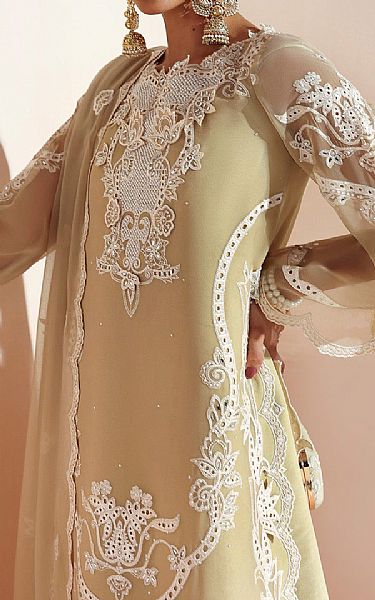 Alizeh Winter Hazel Chiffon Suit | Pakistani Embroidered Chiffon Dresses USA- Image 3