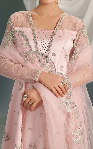 Alizeh Pale Pink Net Suit | Pakistani Embroidered Chiffon Dresses USA- Image 3