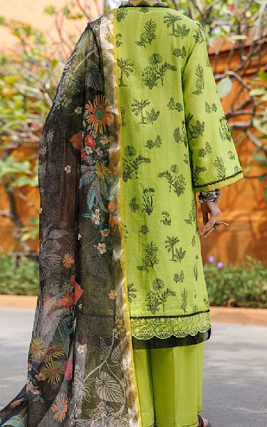 Almirah Lime Green Jacquard Suit | Pakistani Winter Dresses in USA- Image 2