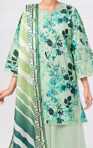 Almirah Light Green Cambric Suit (2 pcs) | Pakistani Winter Dresses in USA- Image 2