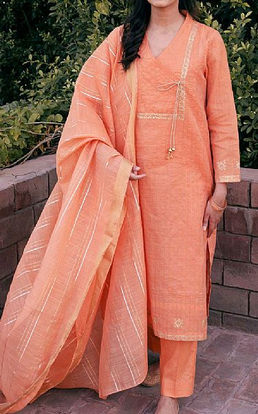 Arz Salmon | Pakistani Pret Wear Clothing by Arz- Image 1