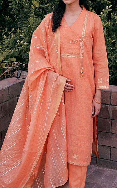 Arz Salmon | Pakistani Pret Wear Clothing by Arz- Image 2