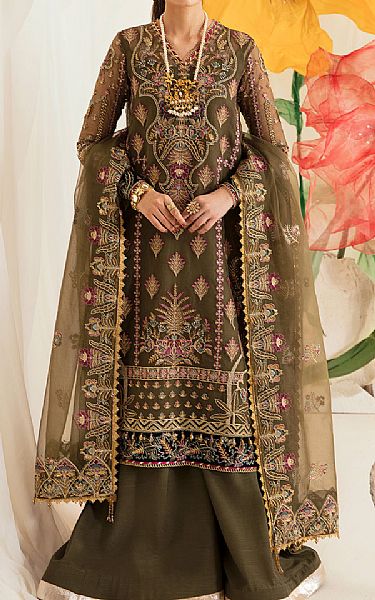 Ayzel Olive Organza Suit | Pakistani Embroidered Chiffon Dresses- Image 1