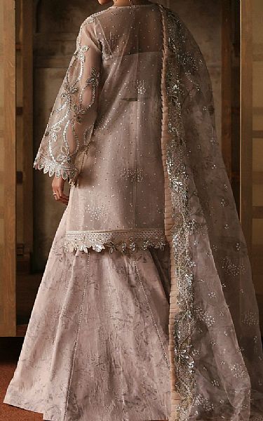 Ayzel Oyster Pink Organza Suit | Pakistani Embroidered Chiffon Dresses USA- Image 2