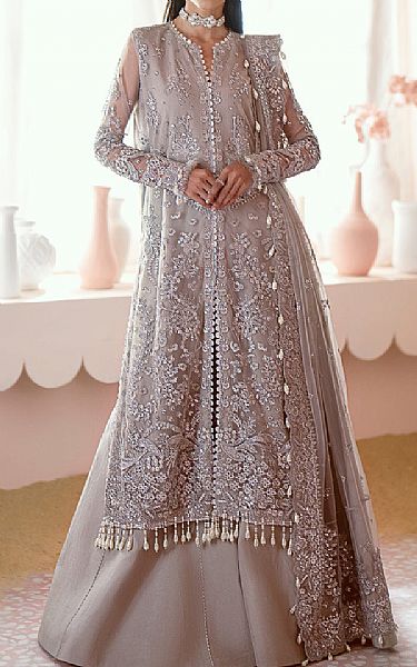 Ayzel Grey Net Suit | Pakistani Embroidered Chiffon Dresses USA- Image 1