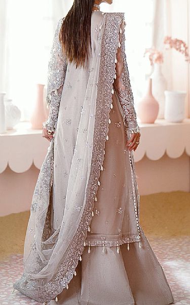 Ayzel Grey Net Suit | Pakistani Embroidered Chiffon Dresses USA- Image 2