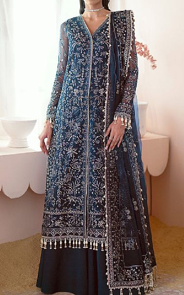 Ayzel Nile Blue Organza Suit | Pakistani Embroidered Chiffon Dresses USA- Image 1