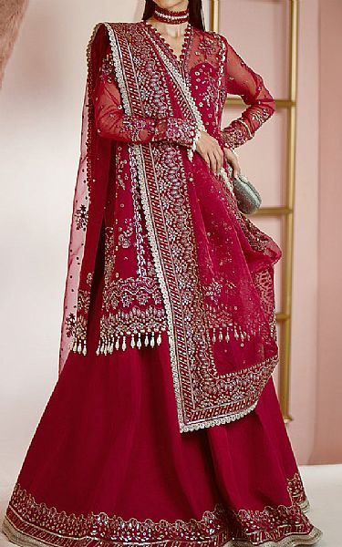 Ayzel Vivid Burgundy Organza Suit | Pakistani Embroidered Chiffon Dresses USA- Image 1