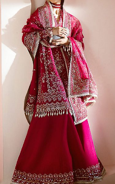 Ayzel Vivid Burgundy Organza Suit | Pakistani Embroidered Chiffon Dresses USA- Image 3