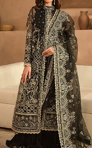 Ayzel Black Organza Suit | Pakistani Embroidered Chiffon Dresses USA- Image 1