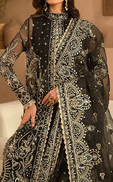 Ayzel Black Organza Suit | Pakistani Embroidered Chiffon Dresses USA- Image 3